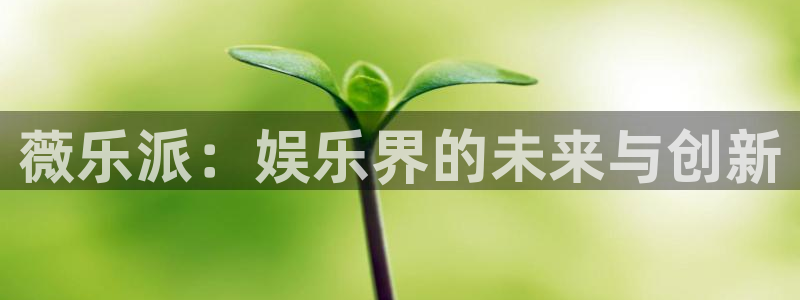 狗子28链接：薇乐派：娱乐界的未来与创新