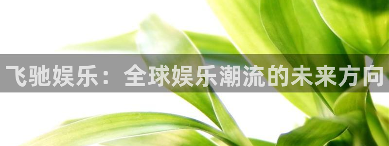 狗子28pg电子游戏：飞驰娱乐：全球娱乐潮流的未来方向