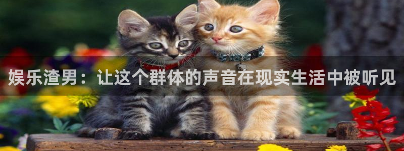 狗子28游戏官网入口注册