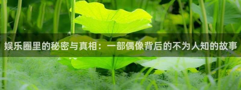 狗子28官网