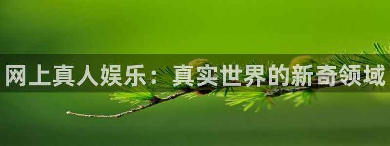 狗子28