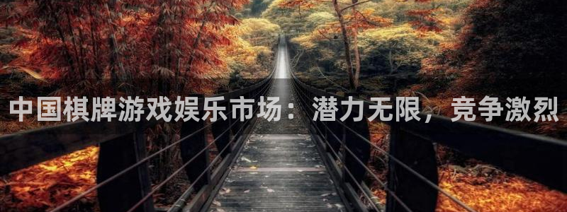 狗子28pg电子游戏：中国棋牌游戏娱乐市场：潜力无限，竞争激烈
