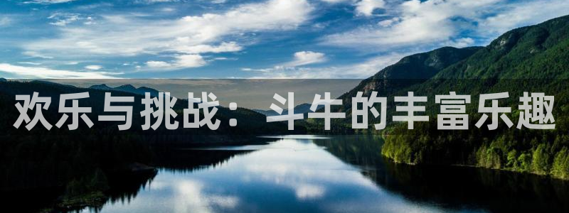 狗子28pg游戏官网版：欢乐与挑战：斗牛的丰富乐趣