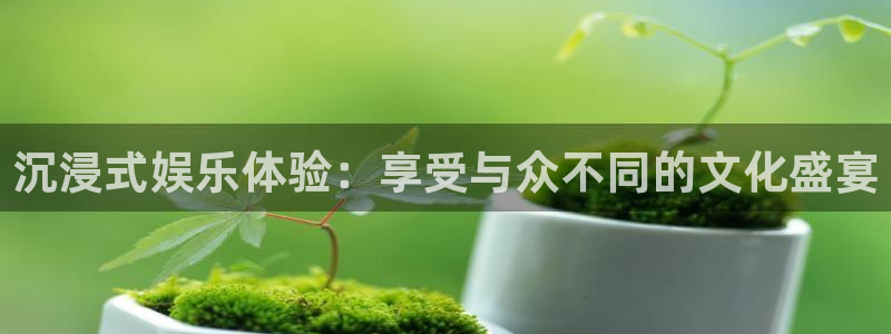 狗子28游戏官网入口注册：沉浸式娱乐体验：享受与众不同的文化盛宴