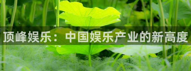 狗子28：顶峰娱乐：中国娱乐产业的新高度
