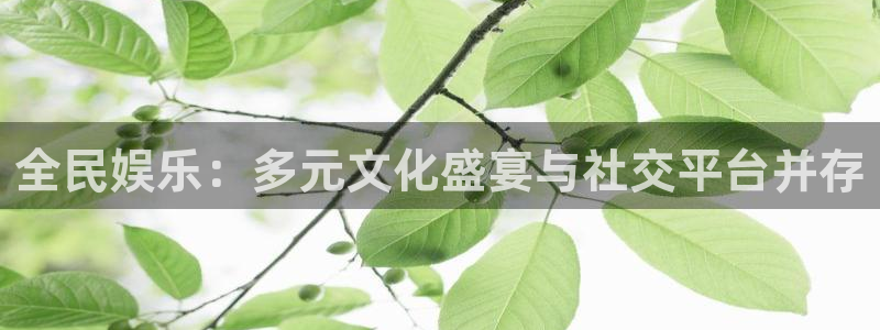 狗子28pg游戏官网版：全民娱乐：多元文化盛宴与社交平台并存